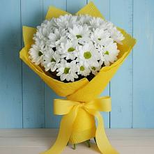 Букет цветов из:  Хризантемы в Дивноморское